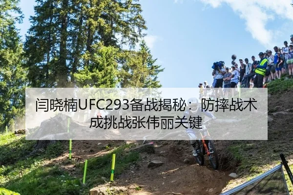 闫晓楠UFC293备战揭秘：防摔战术成挑战张伟丽关键